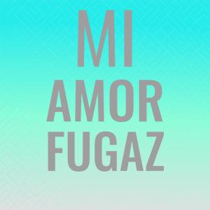 อัลบัม Mi Amor Fugaz ศิลปิน Silvia Natiello-Spiller