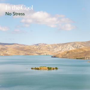 Dengarkan In Front lagu dari No Stress dengan lirik