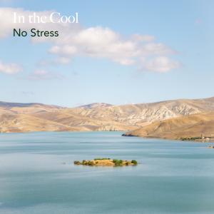 Dengarkan Nowhere lagu dari No Stress dengan lirik