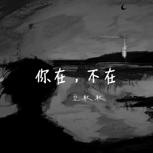 Album 你在，不在 from 空耿耿