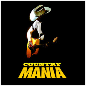 收聽Bobby Helms的Fraulein歌詞歌曲