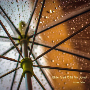 네이쳐콜링的专辑White Noise ASMR Rain Sound