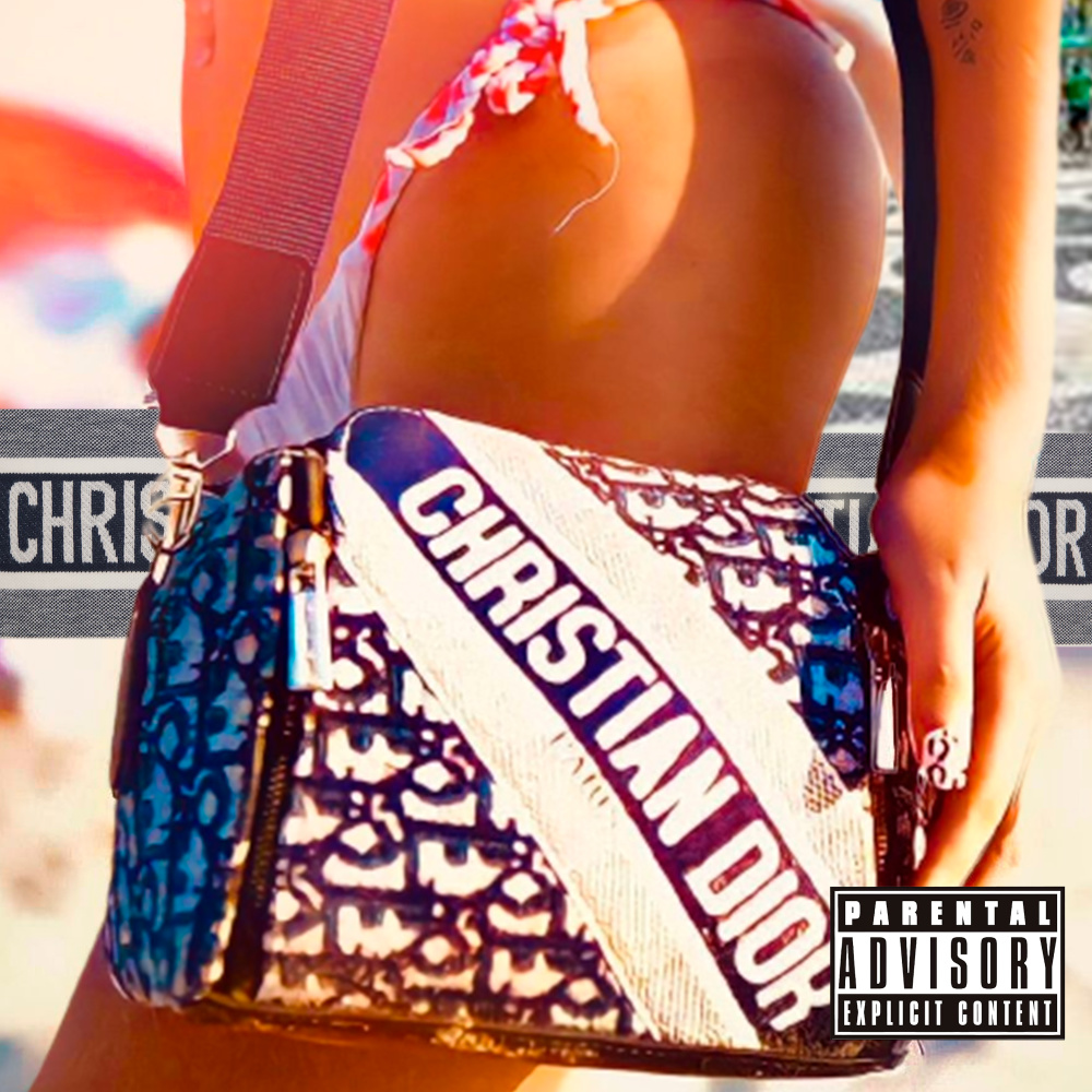 Bolsa da Dior