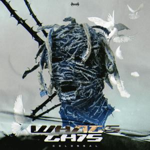 收聽Colossal的WHATS THIS歌詞歌曲