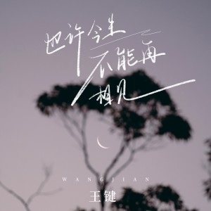 Listen to 也许今生不能再相见 song with lyrics from 王键