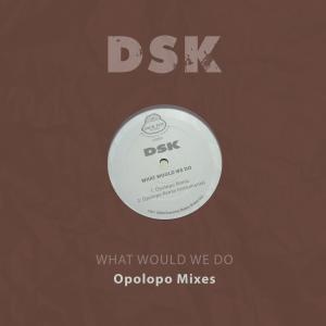 收聽DSK的What Would We Do (Opolopo Remix)歌詞歌曲