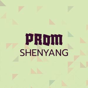 Album Prom Shenyang from Various