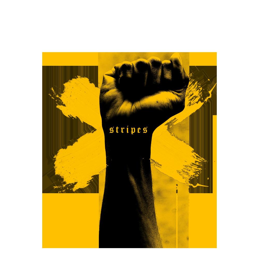 STRIPES (feat. The Hoodies) (Explicit)