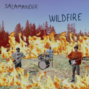 Salamander的專輯wildfire
