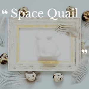 Dengarkan lagu Space Quail nyanyian Wirton Alero dengan lirik