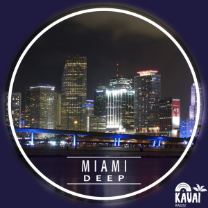 อัลบัม Miami Deep ศิลปิน Various Artists