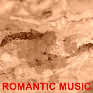 Listen to Romantic Music song with lyrics from Robert Williams