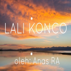 收聽anas ruroziq adham的Lali Konco歌詞歌曲