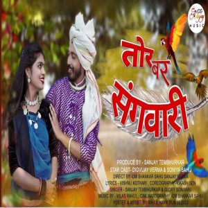 Listen to Tor Bar Sangwari song with lyrics from Sanjay Tembhurkar