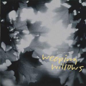 ดาวน์โหลดและฟังเพลง Skin on Skin พร้อมเนื้อเพลงจาก Weeping Willows