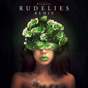 收聽Jacob Tillberg的Flowers (RudeLies Remix)歌詞歌曲