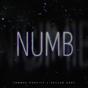 Tommee Profitt的專輯Numb