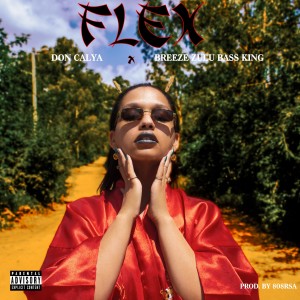 ดาวน์โหลดและฟังเพลง Flex (Explicit) พร้อมเนื้อเพลงจาก Breeze Zulu Bass King