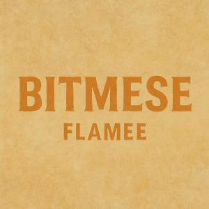 收聽Flameee的Bitmese (Explicit)歌詞歌曲