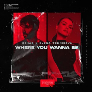 R3hab的專輯Where You Wanna Be