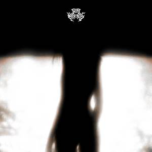 อัลบัม REM ศิลปิน 509 $icario