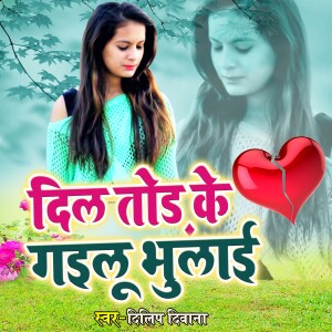 Album Dil Tor Ke Bhula Gayilu from Dilip Diwana