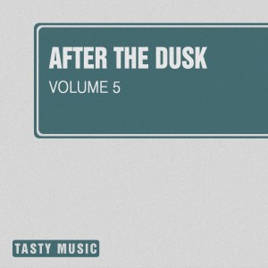 Various Artists的專輯After the Dusk, Vol. 5