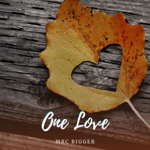 Listen to One Love song with lyrics from MRC BIGGER