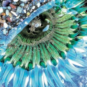 收聽Andy Fischer-Price的Remembering歌詞歌曲