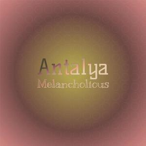 Listen to Noodle Kazantzakis song with lyrics from Allea Papy