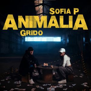 Animalia dari Sofia P