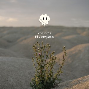 Album El Compass from Voluptas