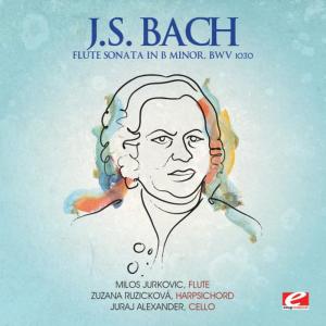 ดาวน์โหลดและฟังเพลง Flute Sonata in B Minor, BWV 1030: Largo e dolce พร้อมเนื้อเพลงจาก Zuzana Ruzickova