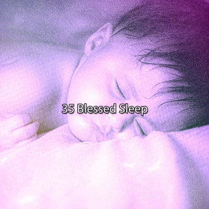 Relaxation的专辑35 Blessed Sleep