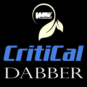收聽TheWaterBoyz710的Critical Dabber (Explicit)歌詞歌曲