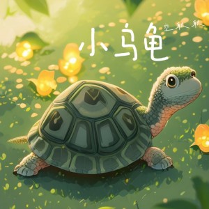 Album 小乌龟 from 空耿耿