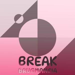 Various的专辑Break Brugmansia