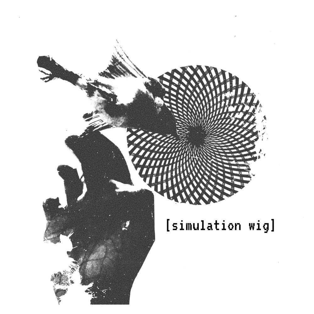 Simulation Wig (Explicit)