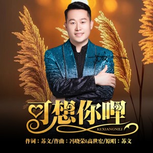 收聽蘇文的可想你哩（陝北版DJ） (完整版)歌詞歌曲