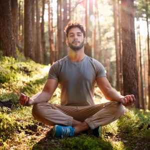 ดาวน์โหลดและฟังเพลง Meditative Pulse พร้อมเนื้อเพลงจาก Harmony in Lofi