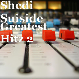 Listen to Im'a Miss Myself song with lyrics from Shedi Suiside