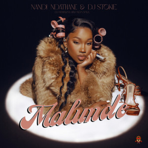 Listen to Malunde song with lyrics from Nandi Ndathane