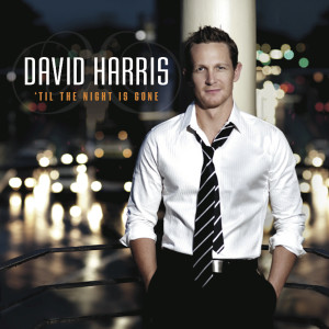 Dengarkan lagu Last Night of the World (feat. Laurie Cadevida) nyanyian David Harris dengan lirik