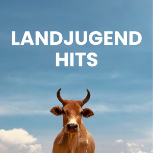 Various的專輯Landjugend Hits (Explicit)