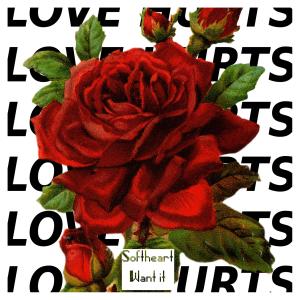 ดาวน์โหลดและฟังเพลง Want It พร้อมเนื้อเพลงจาก Softheart