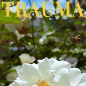 收聽Glenn Ray的T R A U M A (freestyle)歌詞歌曲