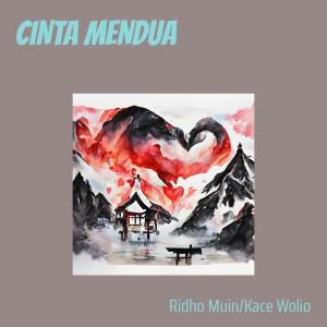 Listen to Cinta Mendua song with lyrics from Ridho Muin