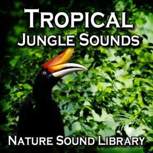 ดาวน์โหลดและฟังเพลง Tropical Jungle Wildlife for Stress Release and Peace of Mind พร้อมเนื้อเพลงจาก Nature Sound Library