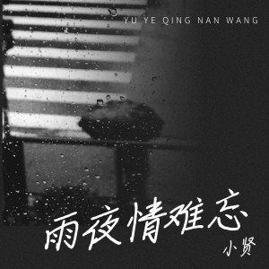Album 雨夜情难忘 from 小贤