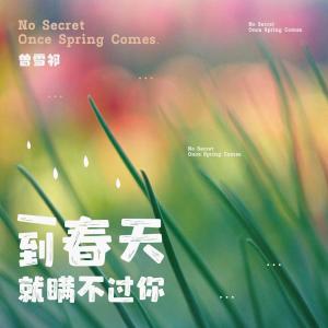 Album 一到春天就瞒不过你 from 曾雪祁